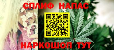 дживик Тверь