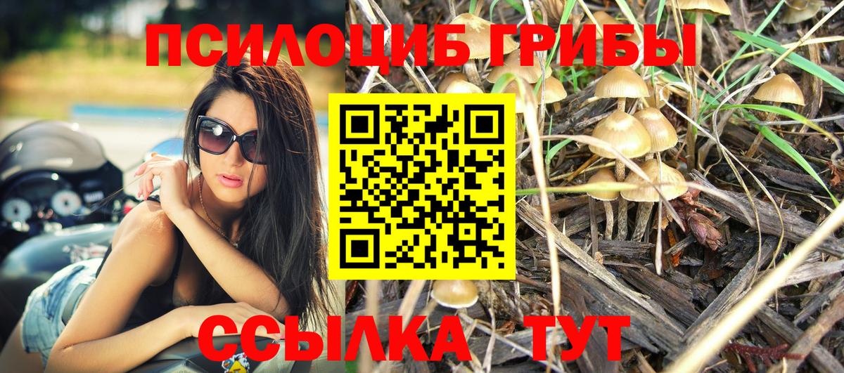Псилоцибиновые грибы мицелий  Вход с VPN  цена наркотик  Назарово 