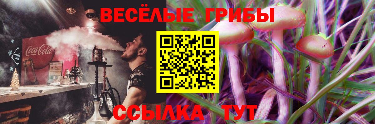 Псилоцибиновые грибы мицелий Назарово